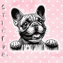 Dein bester Freund - French Bulldog